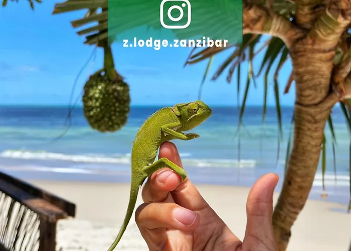 Z-Lodge Zanzibar